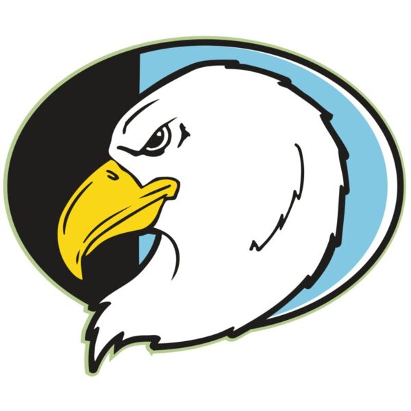 AR EAGLE 55 RC Thumbnail